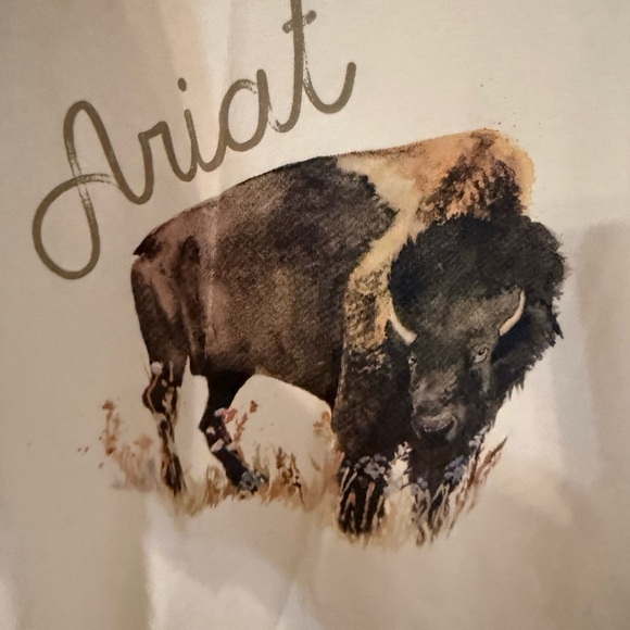 Ariat Cream and Navy Bison Graphic Long Sleeve Tee - Picture 2 of 3